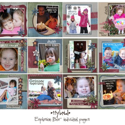 {Hybrid} 2007 Explosion Box