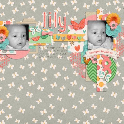 lily