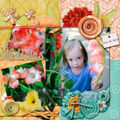 Gladiolas