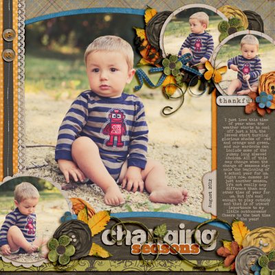 changing-seasonsSSD