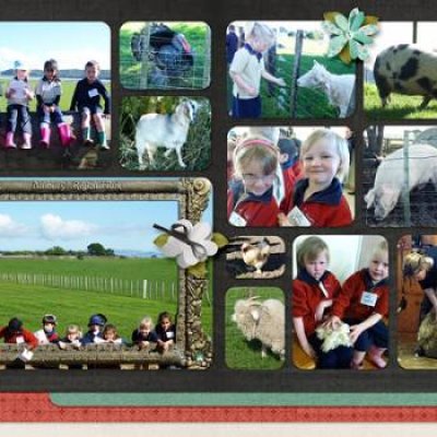 Ambury Farm