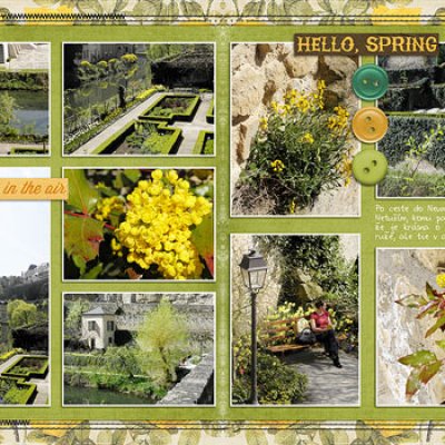 A garden