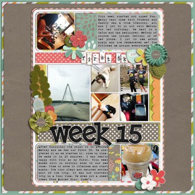 Week 15
