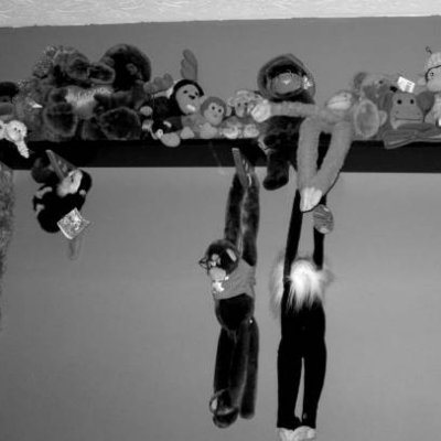 Monkey Menagerie - Photo desaturated and contrasted