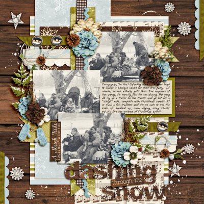 dashing-through-the-snowSSD