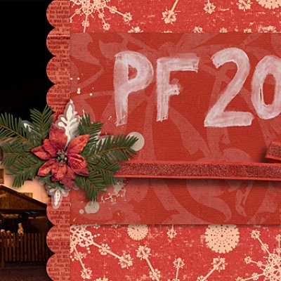 PF 2013