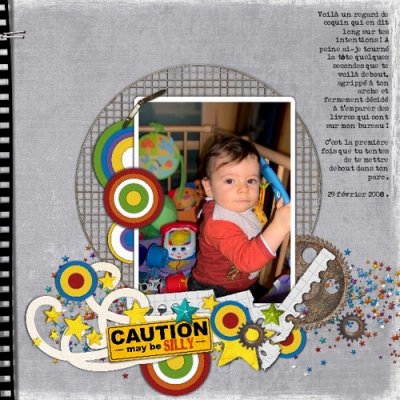 Caution May Be Silly !