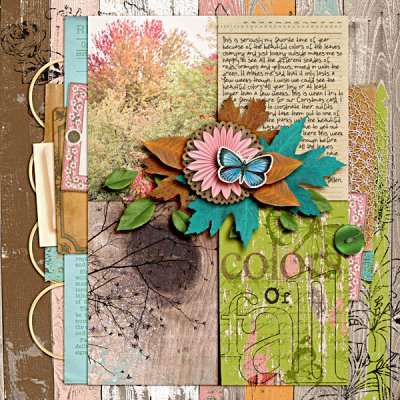Colors Of Fall