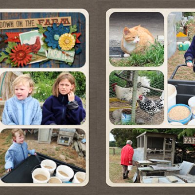 Down on the farm (2 pager)
