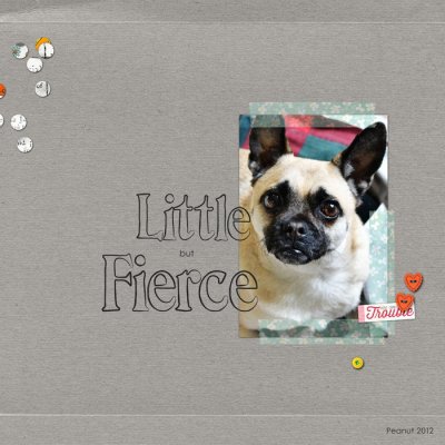 Little but Fierce
