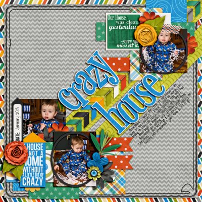 crazy-houseSSD