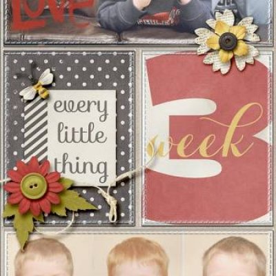 Week 3 Insert