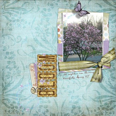 Spring in Full Bloom