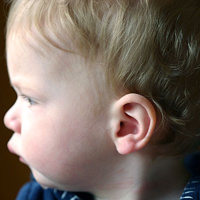Shutterbug Shakedown #5