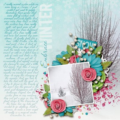 Embrace Winter