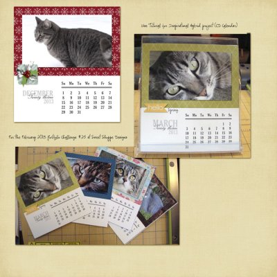 Hybrid CD case Calendar 2013
