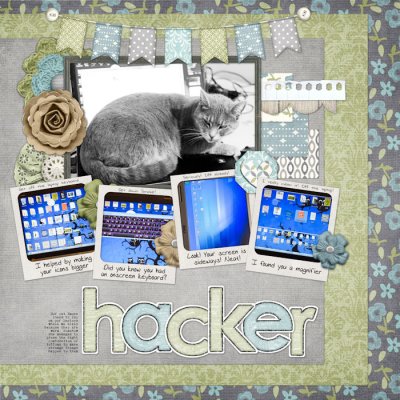 Hacker cat