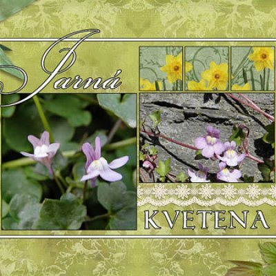 Flowers, flowers