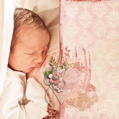 Babybook 1  - In momma's arms