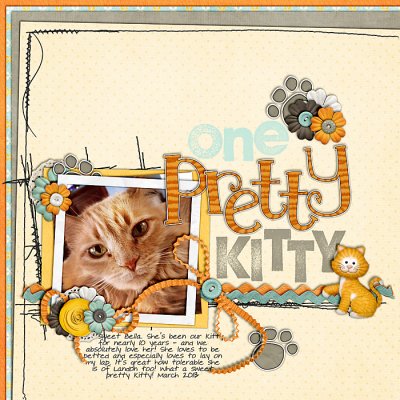 One Pretty Kitty
