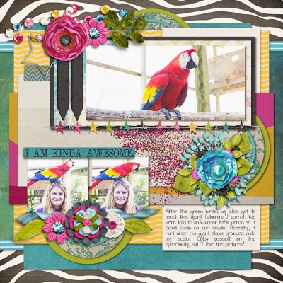 Bird Friends