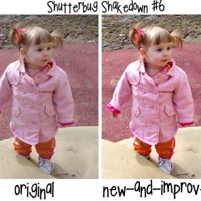 The Shutterbug Shakedown #6
