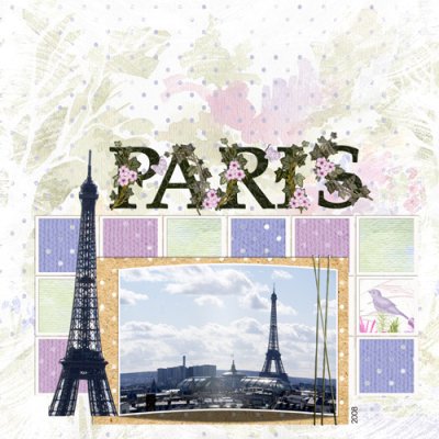 Paris Cover