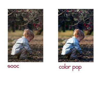 Shutterbug Shakedown #6