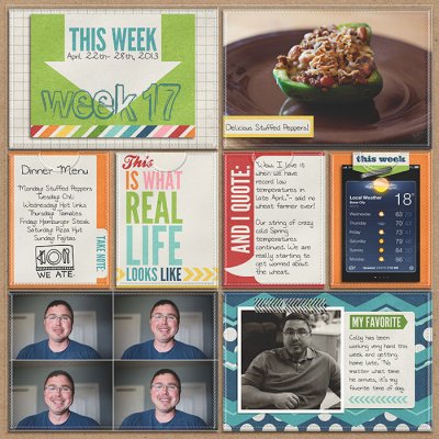 Project 2013- Week 17- left