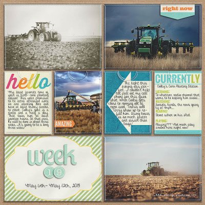 Project 2013- Week 19 (left)