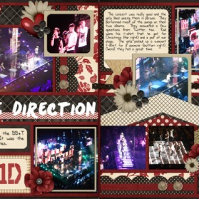 One_Direction_Concert