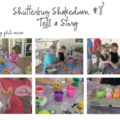 Shutterbug Shakedown #8