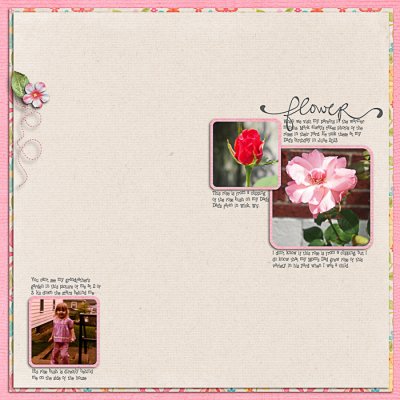 roses-by-dee-birks
