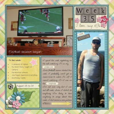 Week 35 2013