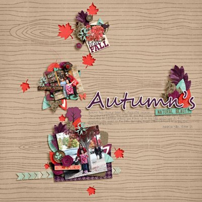 autumn's natural beauty