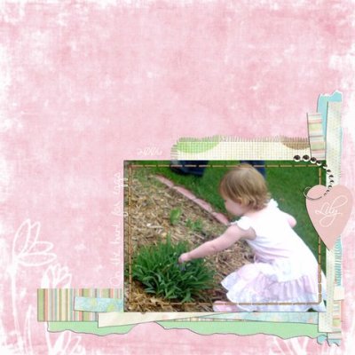 Easter Lily KNL