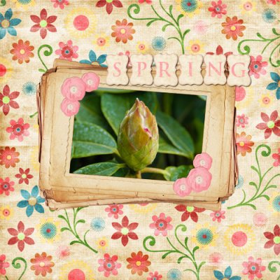 Spring