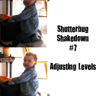 Shutterbug Shakedown  #7