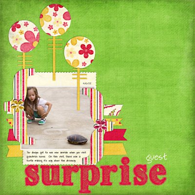 Surprise Guest