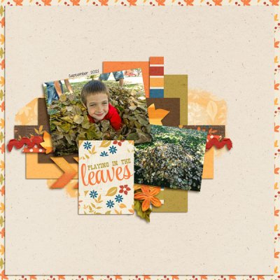 playing in the leaves