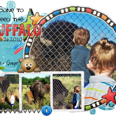 Feeding the Buffalo