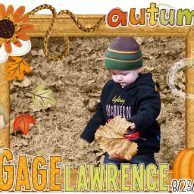Autumn Leaves