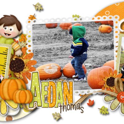 Pumpkin Patch