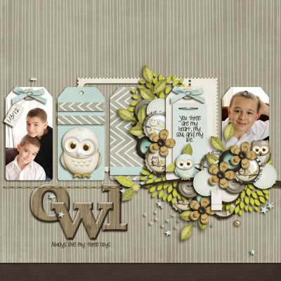 Owl Always Love You