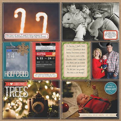 Project 2013- Week 49 (right)