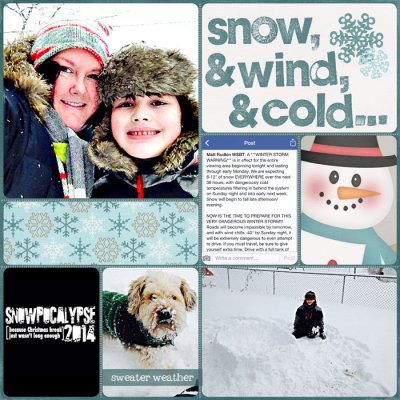 PL 2014: Snowpocalypse