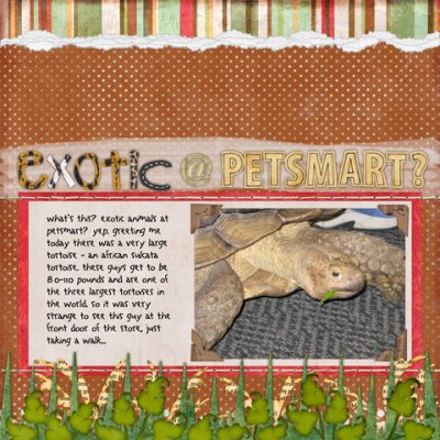 Exotic at Petsmart?