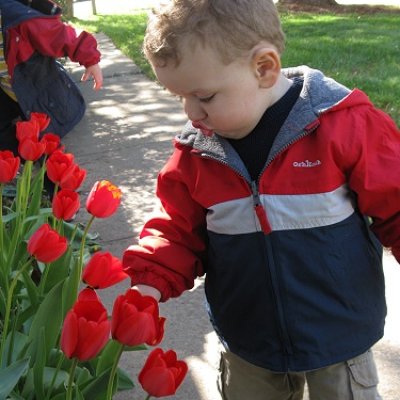Shutterbug Shakedown  #9