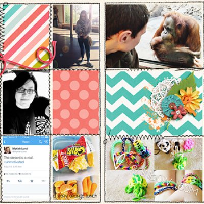 document life 2014, week 4