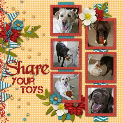 Share your Toys